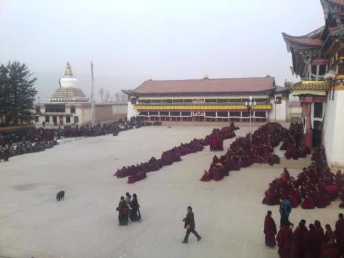 Kirti monastery