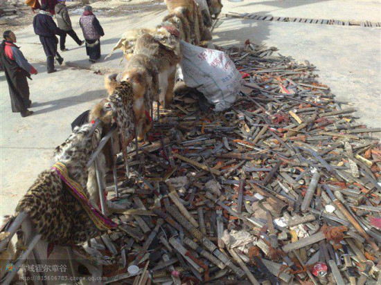 Tibetans have handed in knives to be destroyed along with wild animal pelts