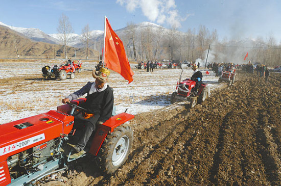 Tibetans ploughing the fields
