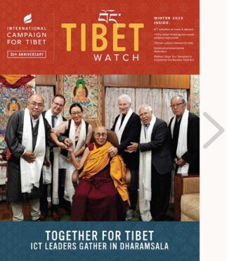 view issue