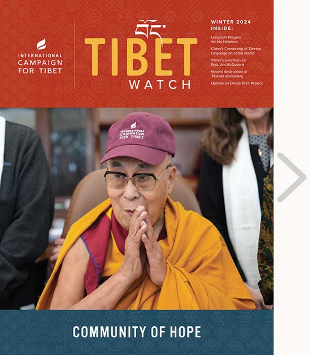 View Issue
