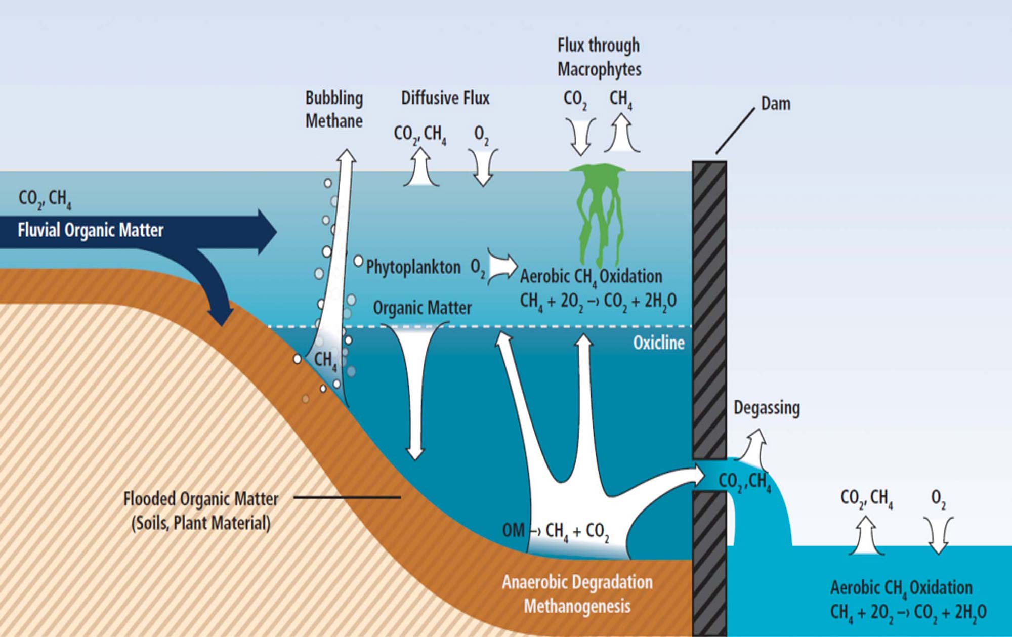 Methane Emissions cycle related to Hydropower Dams