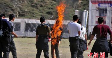 Simulation of self-immolation