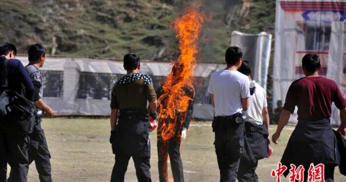 Simulation of self-immolation