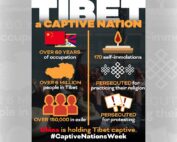 Captive Nation